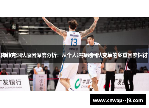 陶菲克退队原因深度分析：从个人选择到团队变革的多重因素探讨