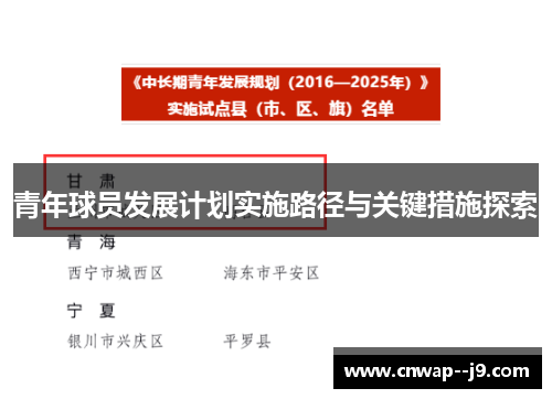 青年球员发展计划实施路径与关键措施探索