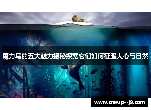 魔力鸟的五大魅力揭秘探索它们如何征服人心与自然