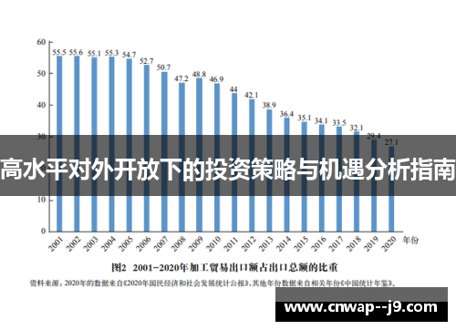 高水平对外开放下的投资策略与机遇分析指南