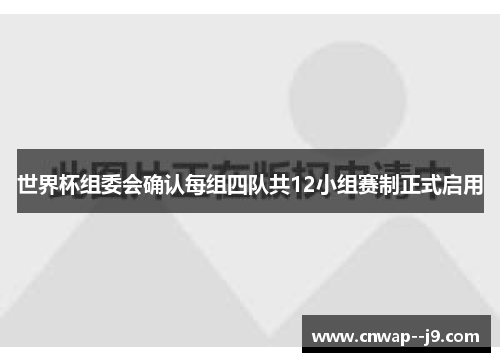 世界杯组委会确认每组四队共12小组赛制正式启用