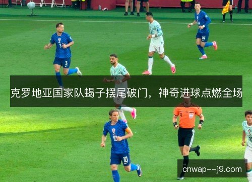 克罗地亚国家队蝎子摆尾破门，神奇进球点燃全场